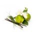 Indian Lemongrass & Lime 